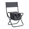 4-piece Folding Chair with Storage Bag