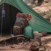 Tarp Type Tent